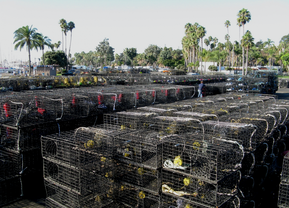 Rows of stacked lobster traps sit on the tarmac in Santa Barbara.